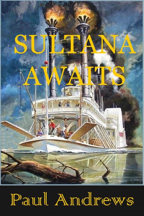 Cover of the book Sultana Awaits by Paul Andrews, Paul Andrews