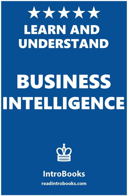 Cover of the book Learn and Understand Business Intelligence by IntroBooks, IntroBooks