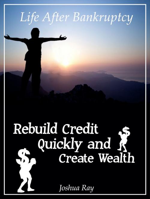 Cover of the book Life After Bankruptcy: Rebuild Credit Quickly and Create Wealth by Joshua Ray, Perley Publishing House