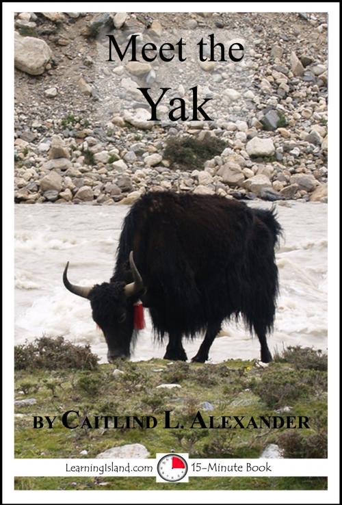 Cover of the book Meet the Yak: A 15-Minute Book for Early Readers by Caitlind L. Alexander, LearningIsland.com