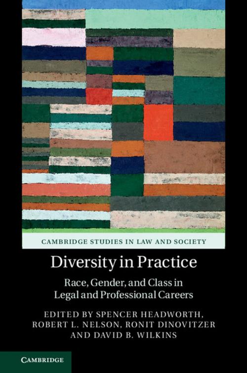 Cover of the book Diversity in Practice by , Cambridge University Press