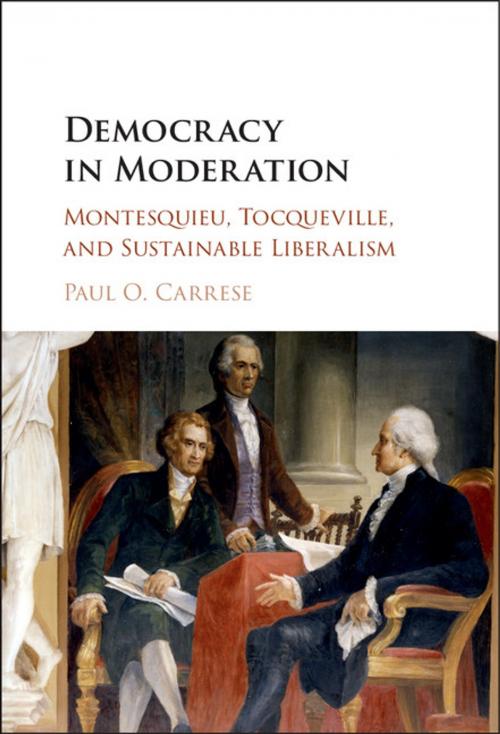 Cover of the book Democracy in Moderation by Paul O. Carrese, Cambridge University Press