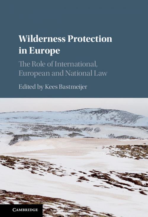 Cover of the book Wilderness Protection in Europe by , Cambridge University Press