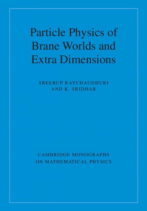 Cover of the book Particle Physics of Brane Worlds and Extra Dimensions by Sreerup Raychaudhuri, K. Sridhar, Cambridge University Press