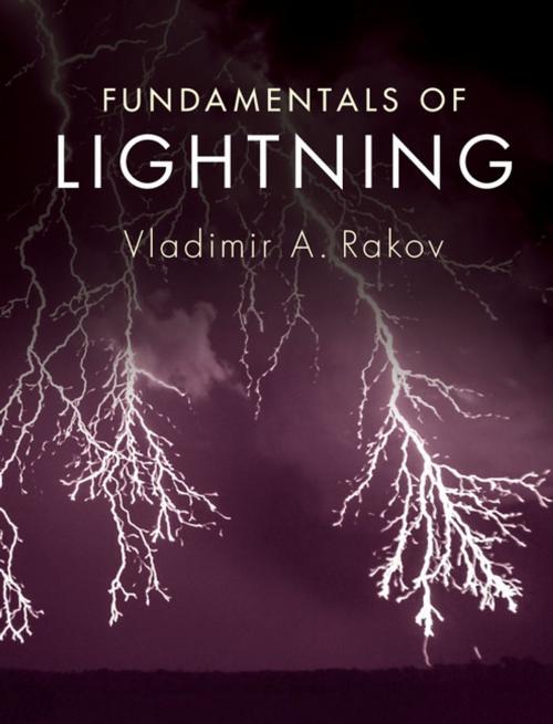 Cover of the book Fundamentals of Lightning by Vladimir A. Rakov, Cambridge University Press