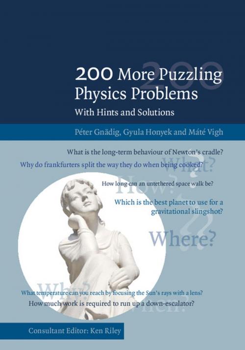Cover of the book 200 More Puzzling Physics Problems by Péter Gnädig, Gyula Honyek, Máté Vigh, Ken F. Riley, Cambridge University Press