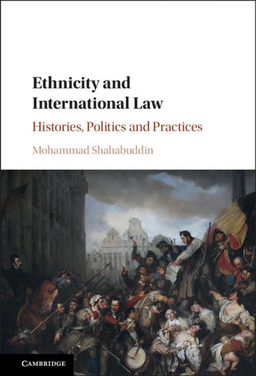 Cover of the book Ethnicity and International Law by Mohammad Shahabuddin, Cambridge University Press
