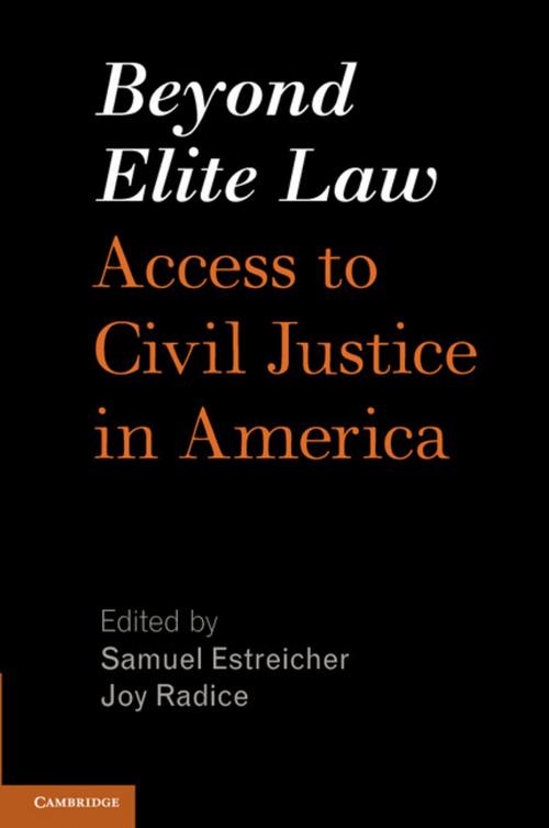 Cover of the book Beyond Elite Law by , Cambridge University Press