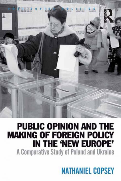 Cover of the book Public Opinion and the Making of Foreign Policy in the 'New Europe' by Nathaniel Copsey, Taylor and Francis