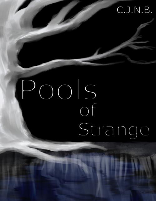 Cover of the book Pools of Strange by C.J. N.B., Lulu.com