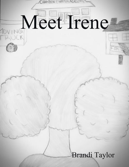 Cover of the book Meet Irene by Brandi Taylor, Lulu.com