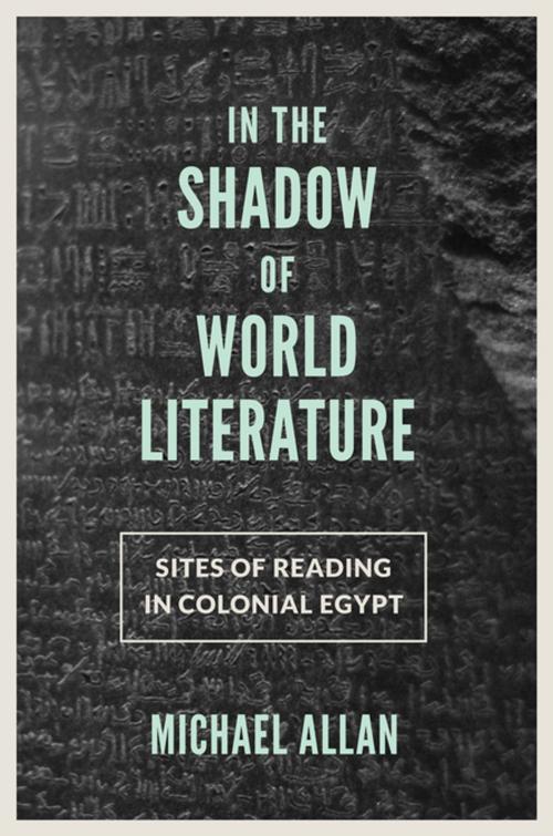 Cover of the book In the Shadow of World Literature by Michael Allan, Princeton University Press