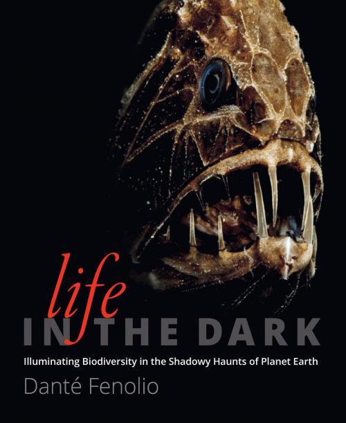 Cover of the book Life in the Dark by Danté Fenolio, Johns Hopkins University Press