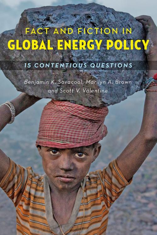 Cover of the book Fact and Fiction in Global Energy Policy by Benjamin K. Sovacool, Marilyn A. Brown, Scott V. Valentine, Johns Hopkins University Press