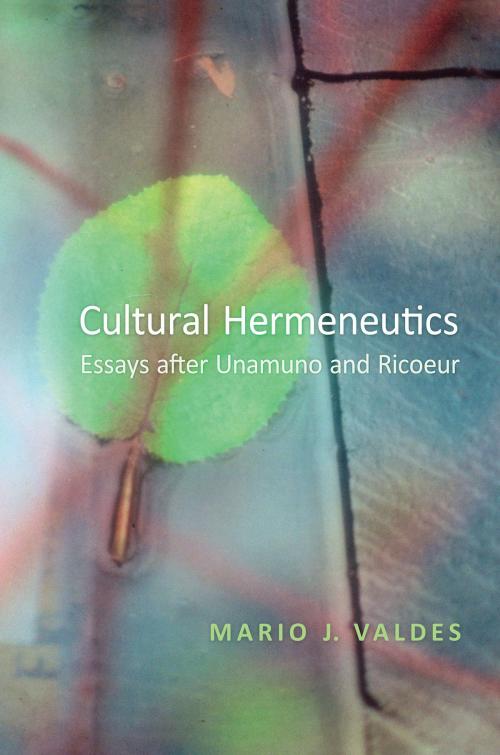 Cover of the book Cultural Hermeneutics by Mario Valdes, University of Toronto Press, Scholarly Publishing Division