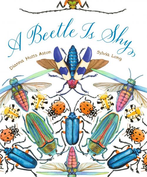 Cover of the book A Beetle Is Shy by Dianna Hutts Aston, Chronicle Books LLC