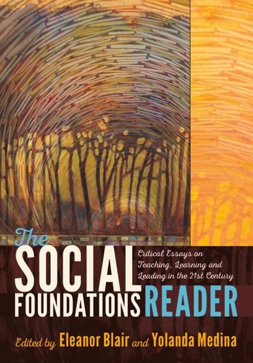Cover of the book The Social Foundations Reader by , Peter Lang
