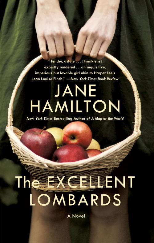 Cover of the book The Excellent Lombards by Jane Hamilton, Grand Central Publishing