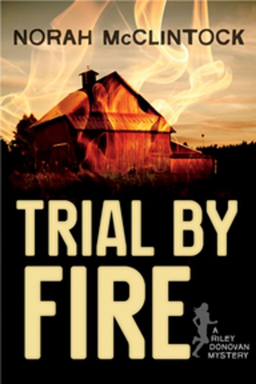Cover of the book Trial by Fire by Norah McClintock, Orca Book Publishers
