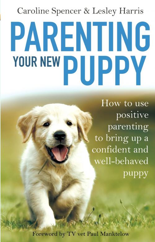 Cover of the book Parenting Your New Puppy by Caroline Spencer, Lesley Harris, Little, Brown Book Group