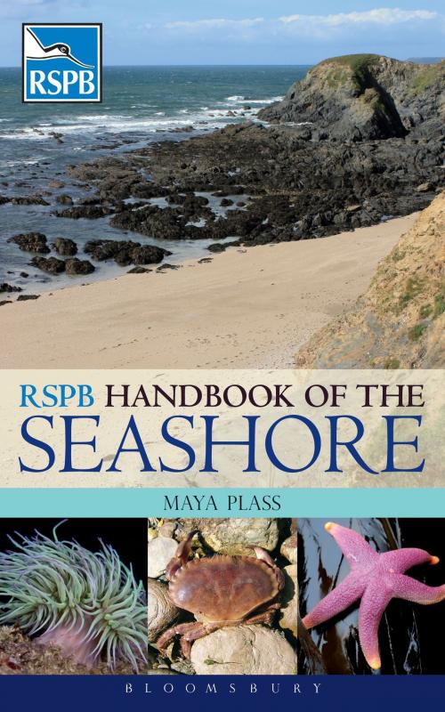Cover of the book RSPB Handbook of the Seashore by Maya Plass, Bloomsbury Publishing