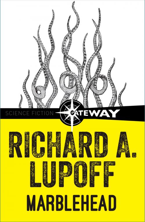 Cover of the book Marblehead by Richard A. Lupoff, Orion Publishing Group