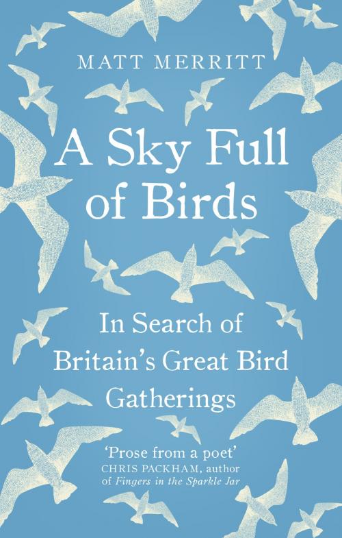 Cover of the book A Sky Full of Birds by Matt Merritt, Ebury Publishing