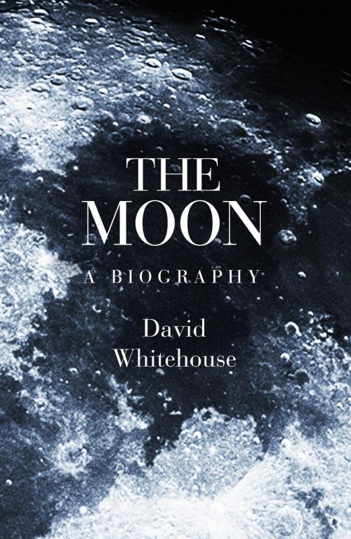 Cover of the book The Moon by David Whitehouse, Orion Publishing Group