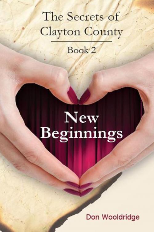Cover of the book New Beginnings: Vol. 2 by Don Wooldridge, Don Wooldridge
