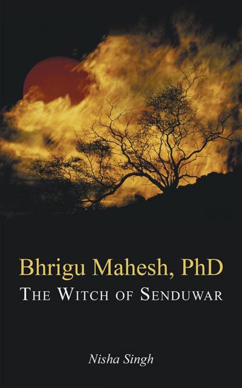 Cover of the book Bhrigu Mahesh, Phd by Nisha Singh, Partridge Publishing India