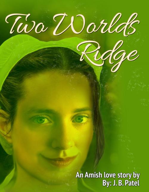 Cover of the book Two World's Ridge by J.B. Patel, BookBaby