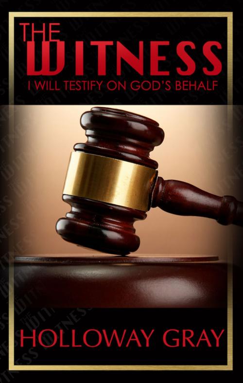 Cover of the book The Witness: I Will Testify On God's Behalf by Holloway Gray, BookBaby
