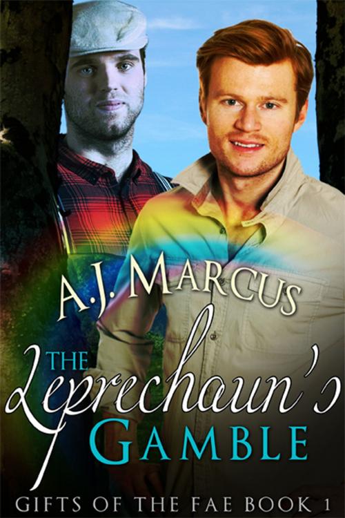 Cover of the book The Leprechaun’s Gamble by A.J. Marcus, eXtasy Books Inc