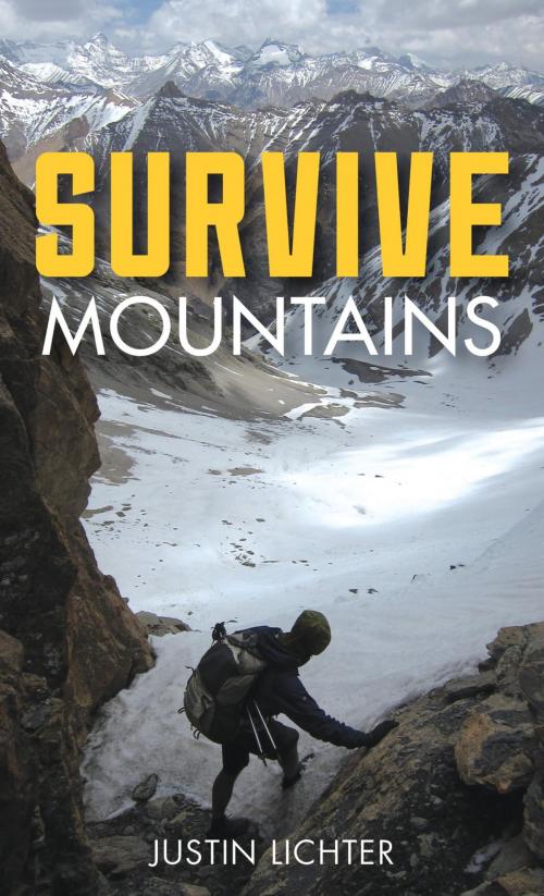 Cover of the book Survive by Justin Lichter, Falcon Guides