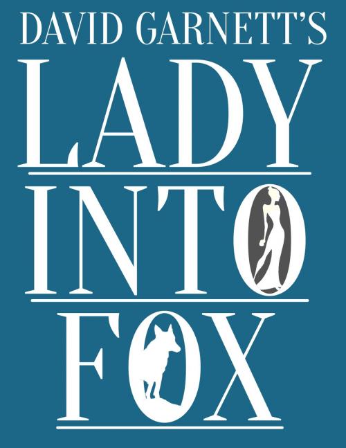 Cover of the book Lady Into Fox by David Garnett, Jester House Publishing