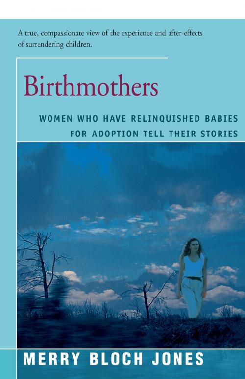 Cover of the book Birthmothers by Merry Jones, Open Road Distribution