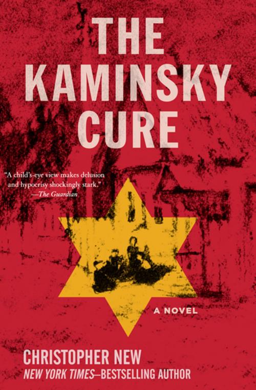 Cover of the book The Kaminsky Cure by Christopher New, Delphinium Books