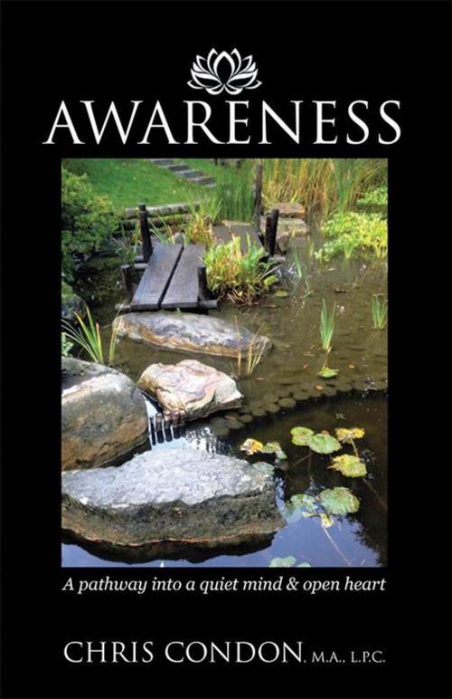 Cover of the book Awareness by Chris Condon M.A. L.P.C., Balboa Press