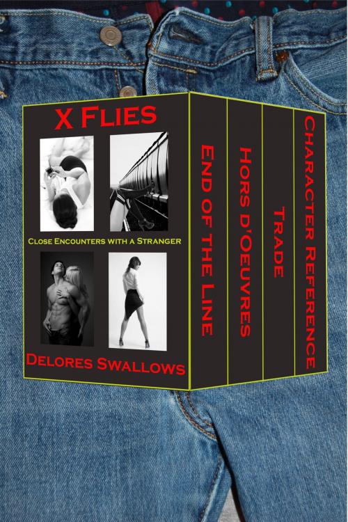 Cover of the book X Flies by Delores Swallows, Excessica