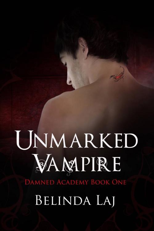 Cover of the book Unmarked Vampire by Belinda Laj, Belinda Laj