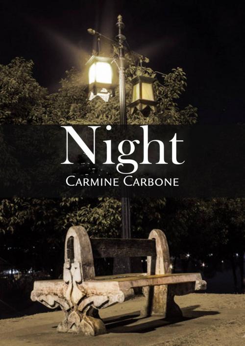 Cover of the book NIGHT by Carmine Carbone, Carmine CARBONE