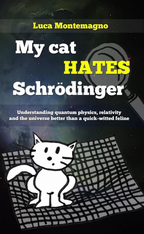 Cover of the book My cat hates Schrödinger by Luca Montemagno, Babelcube Inc.