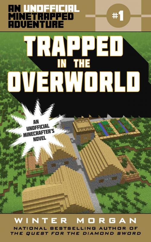 Cover of the book Trapped in the Overworld by Winter Morgan, Sky Pony