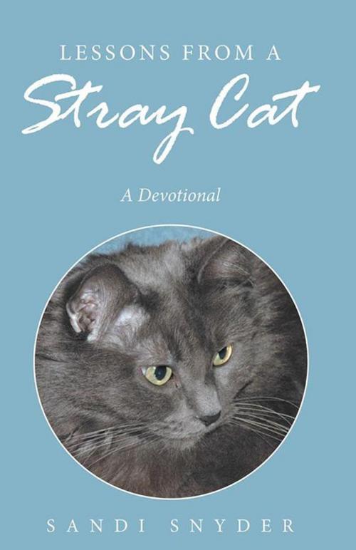 Cover of the book Lessons from a Stray Cat by Sandi Snyder, WestBow Press