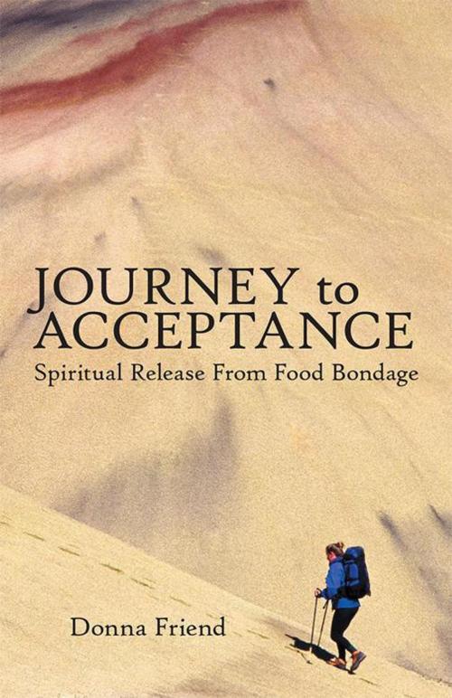 Cover of the book Journey to Acceptance by Donna Friend, WestBow Press