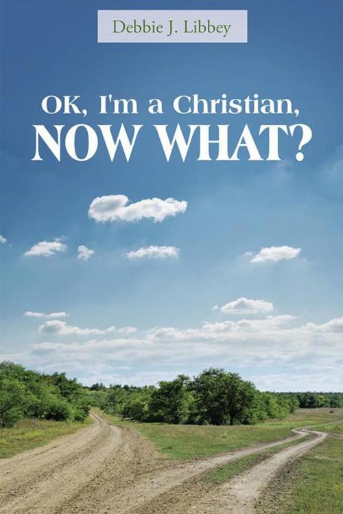 Cover of the book Ok, I'm a Christian, Now What? by Debbie J. Libbey, WestBow Press