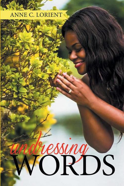 Cover of the book Undressing Words by Anne C. Lorient, Xlibris US