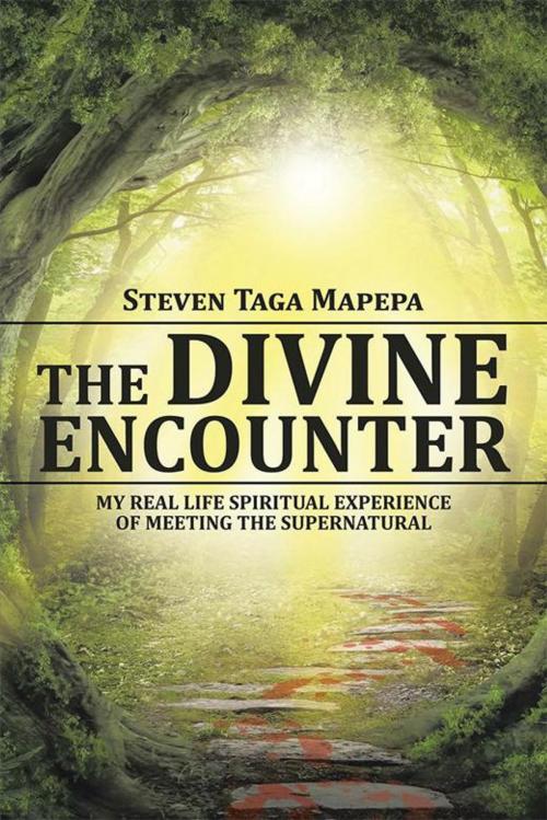 Cover of the book The Divine Encounter by Steven Taga Mapepa, Xlibris US