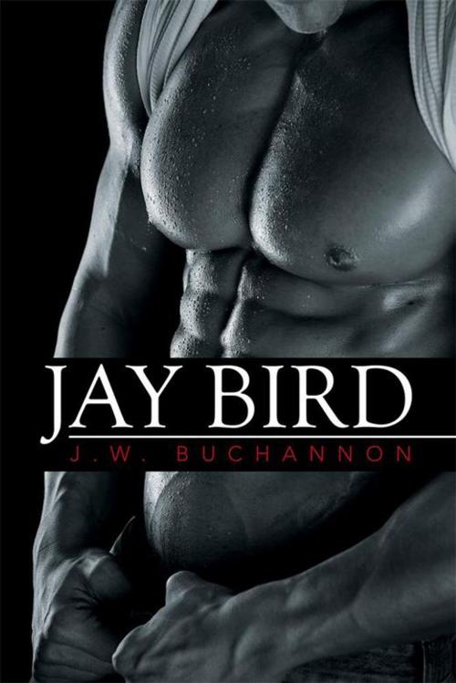 Cover of the book Jay Bird by J. W. Buchannon, Xlibris US