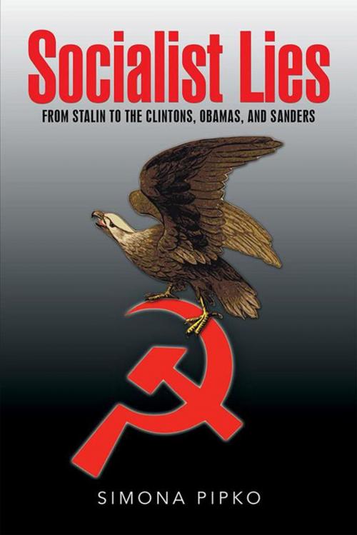 Cover of the book Socialist Lies by Simona Pipko, Xlibris US
